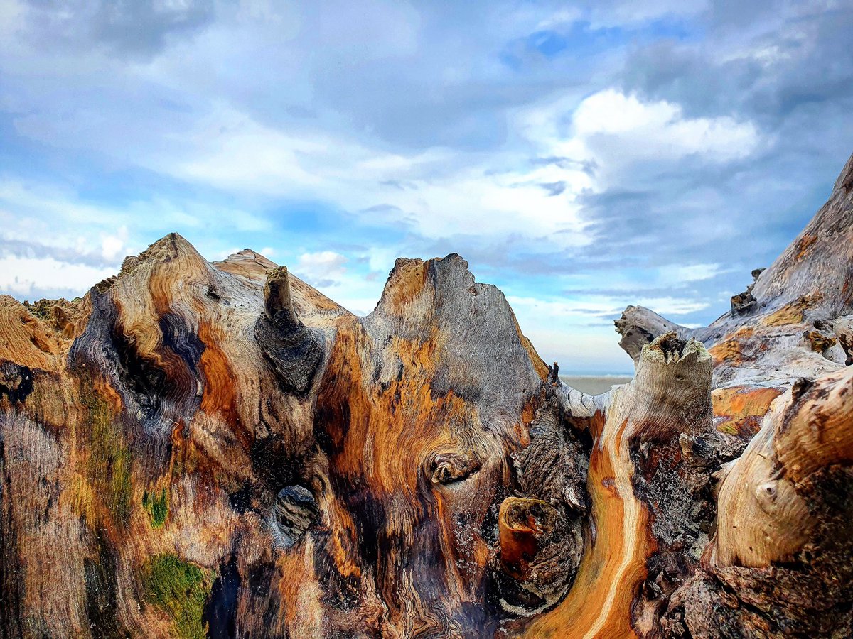 2022 begonnen met een strandwandeling, kan minder 💚
