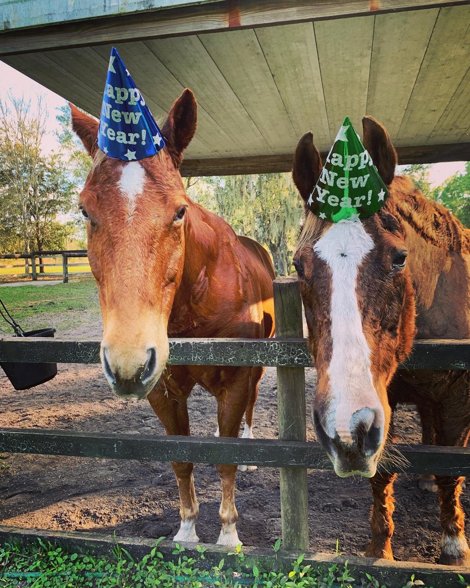 kelleylemon15's tweet photo. Happy New Year!! https://t.co/Gjn8VYMe1R