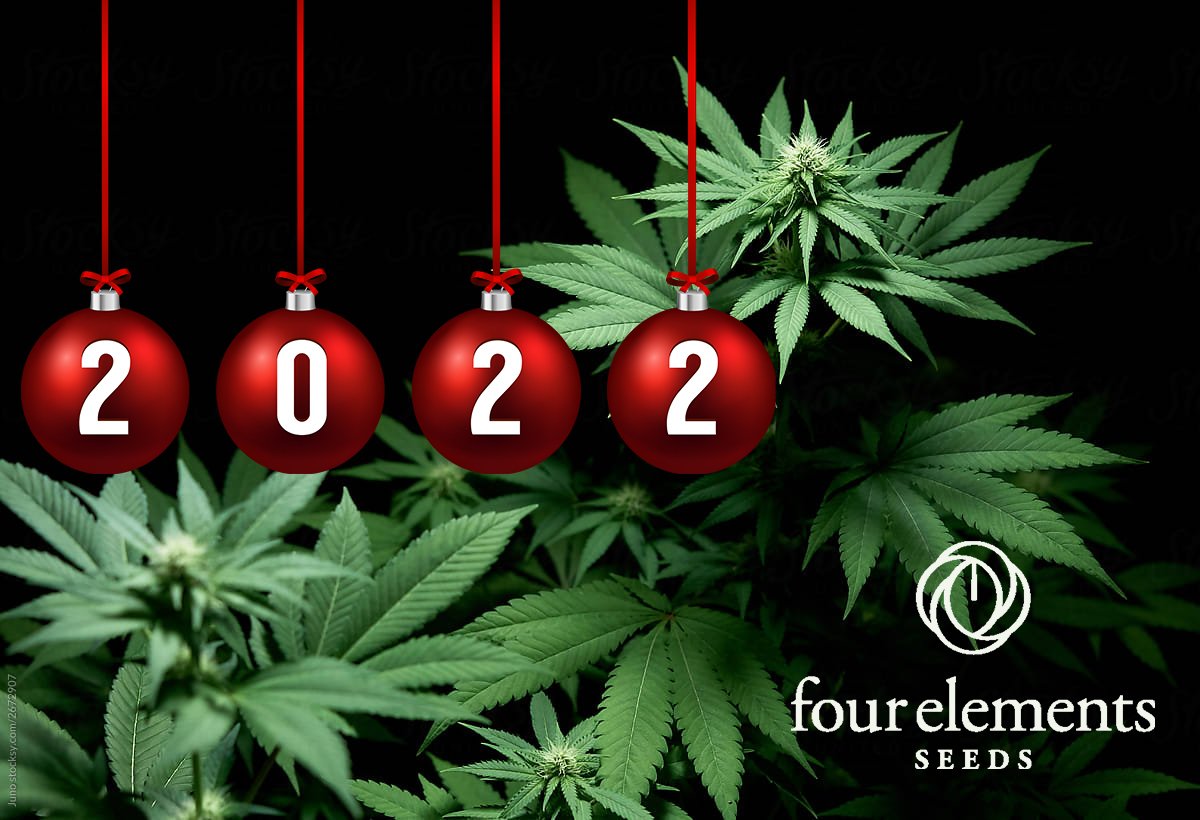 4elementsseeds's tweet image. We wish you a prosperous year full of health and happiness!!!✨🍾🎁#newyear2022 #newyearseve #celebrate #health #happiness #prosperity #cannabis #cannabiscommunity #cannabisgifts #four_elements_seeds #athens_thissio