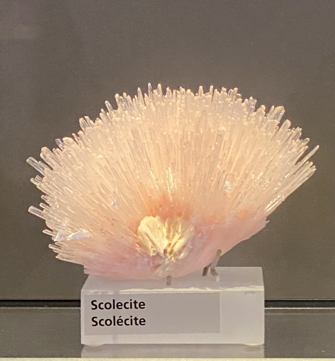 The Society of Mineral Museum Professionals tweet media