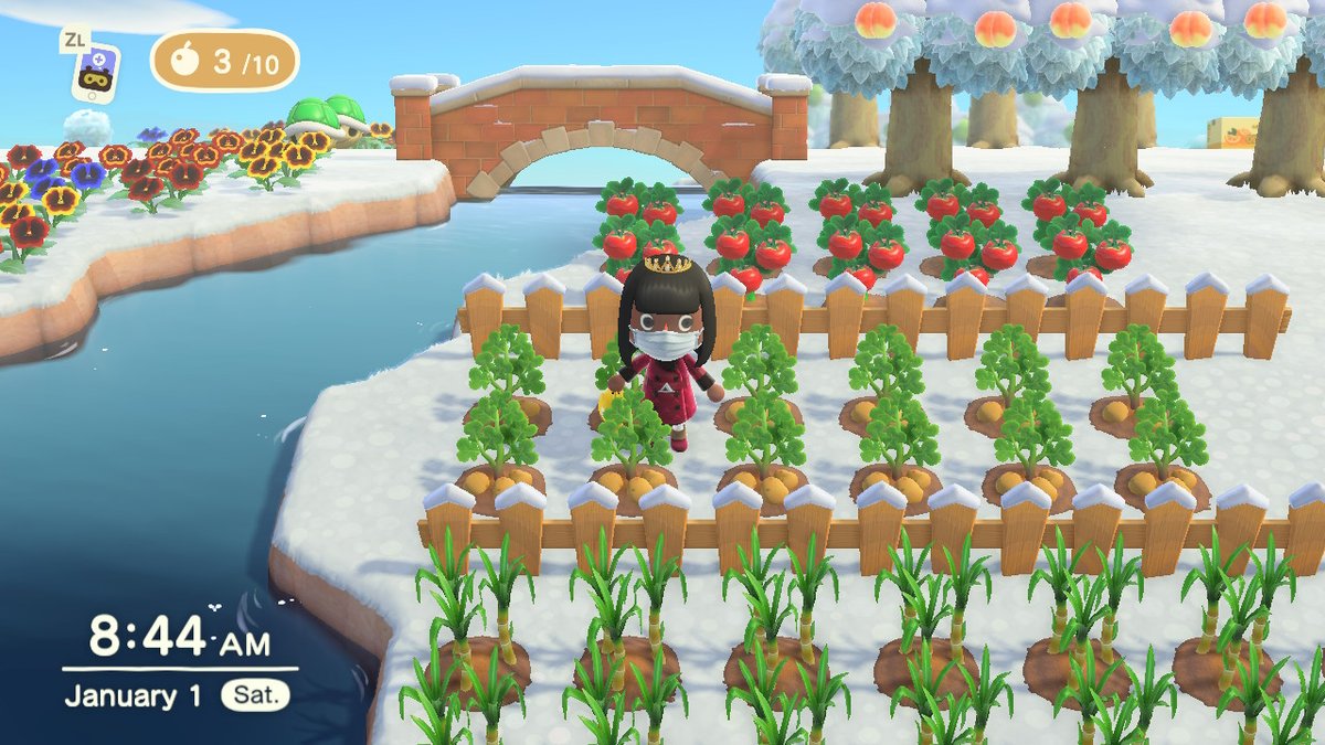 ShanimalCrossn's tweet photo. Good morning from my garden. #AnimalCrossing #ACNH #NintendoSwitch https://t.co/7ac6fHq5NX