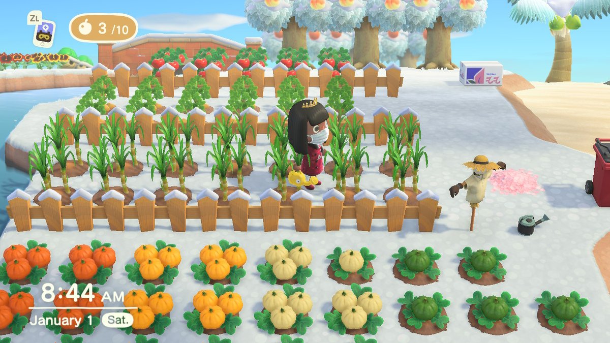 ShanimalCrossn's tweet photo. Good morning from my garden. #AnimalCrossing #ACNH #NintendoSwitch https://t.co/7ac6fHq5NX