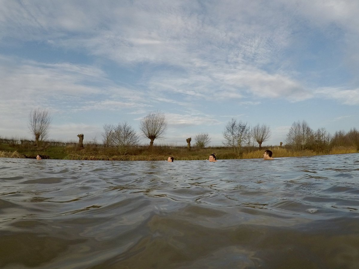 Dip Advisor tweet media