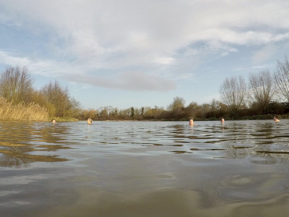 Dip Advisor tweet media