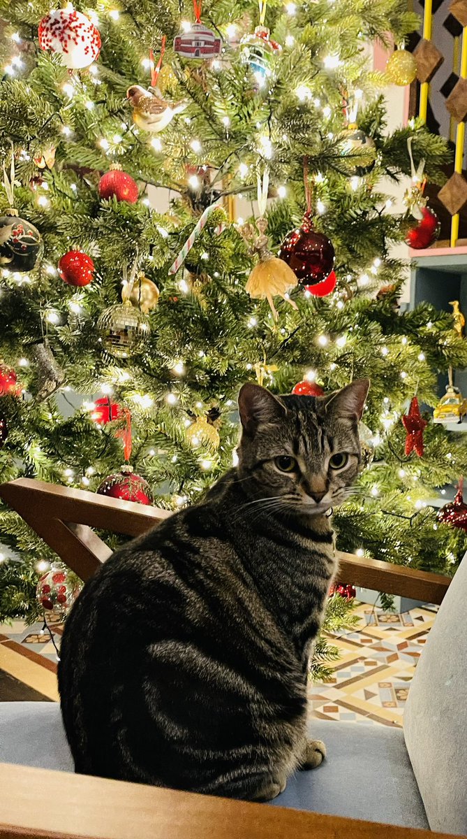 Richard Osman tweet media