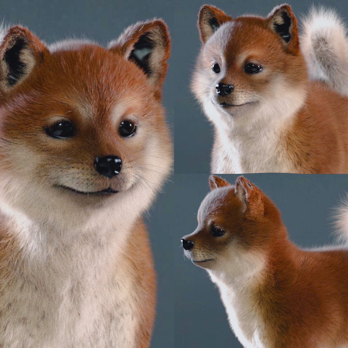 KFarrensteiner's tweet photo. Started a doge groom a few days ago! 🐕 It‘s a work in progress. There is still a lot to change on the mesh &amp; groom.

#3D #houdinifx #groomtd #3dartist #zbrushart #3dmodeling #3drender #vfx  #characterartist #3dmodeling #cgi #cgartist  #groomartist #sidefxhoudini #zbrush https://t.co/Gw10h0EBPv