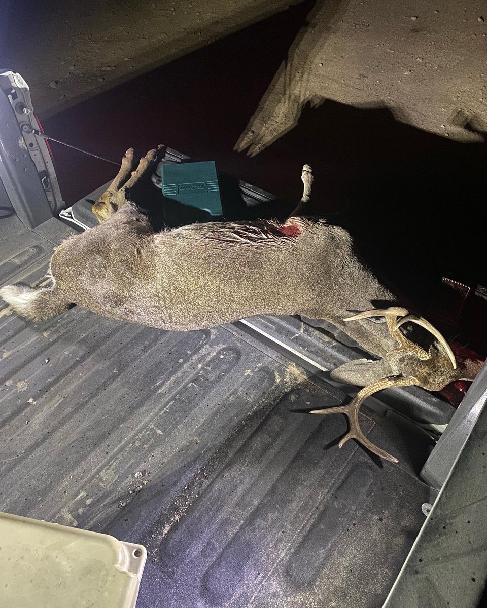 Trenton Taccetta tweet media