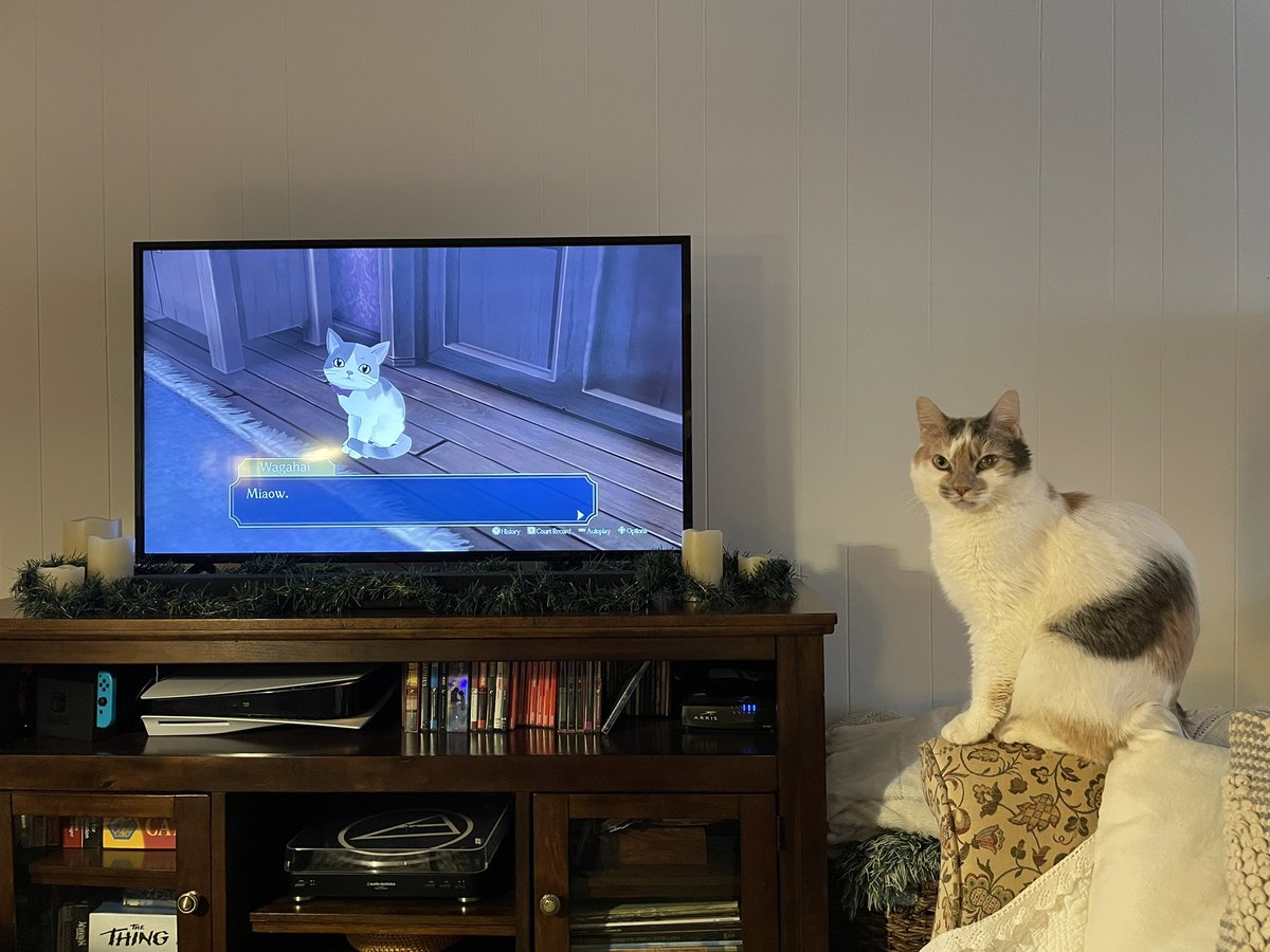 Danny Parisi (Clean version) tweet media