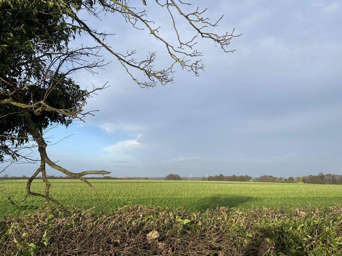 Beautiful countryside (with the #humber bank power house of #energy and #process industries on the horizon) #Happy2022