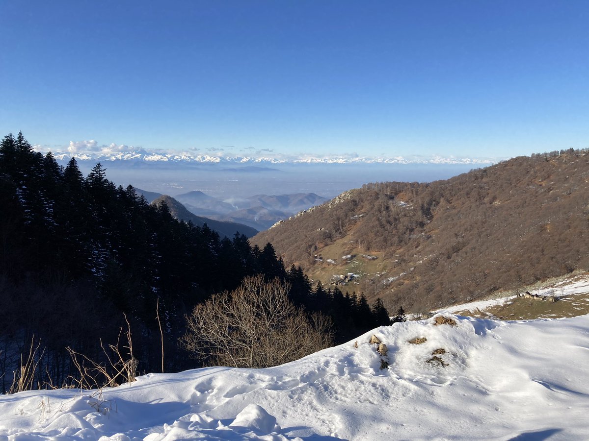 Stefano Rosa (@morpheus1820) on Twitter photo 