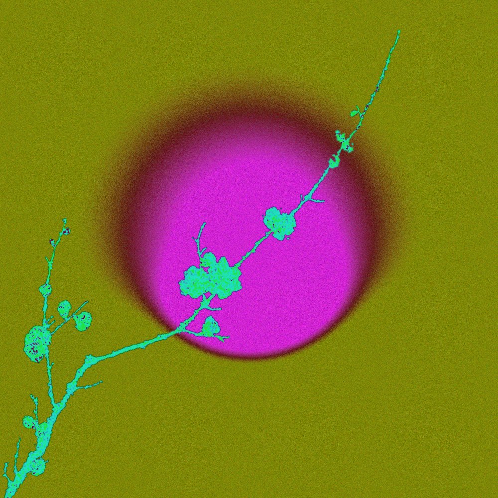 xanderchou001's tweet image. 月落🌕
一些最近随手做的图，打算做在包装上来着。
#acidgraphix #oriental #diffuselight