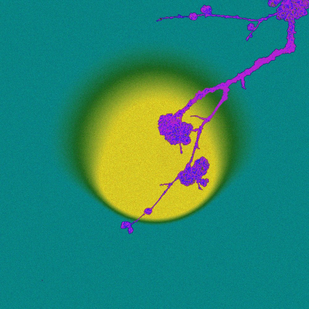 xanderchou001's tweet image. 月落🌕
一些最近随手做的图，打算做在包装上来着。
#acidgraphix #oriental #diffuselight