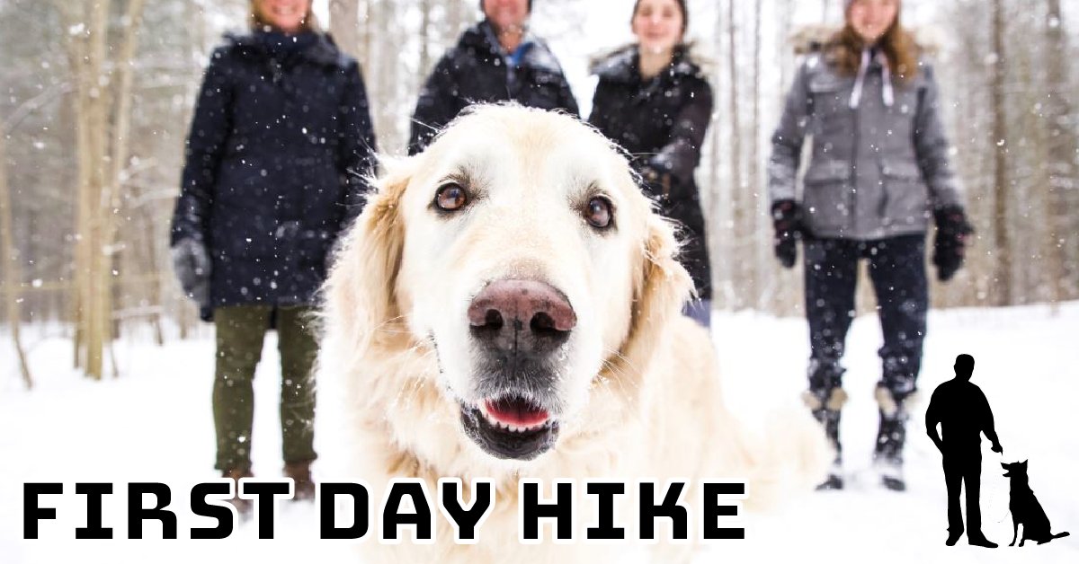 LSRCA's tweet photo. Best way to start a new year is with a #FirstDayHike. If pup joins in, so does a leash. Itβs the rule at all conservation areas, including #Scanlon, #ThorntonBales, #BeaverRiver, #Whitchurch. Consideration for others and wildlife is timeless.
https://t.co/vcuU9kGI6h https://t.co/1n6kUXXg3K