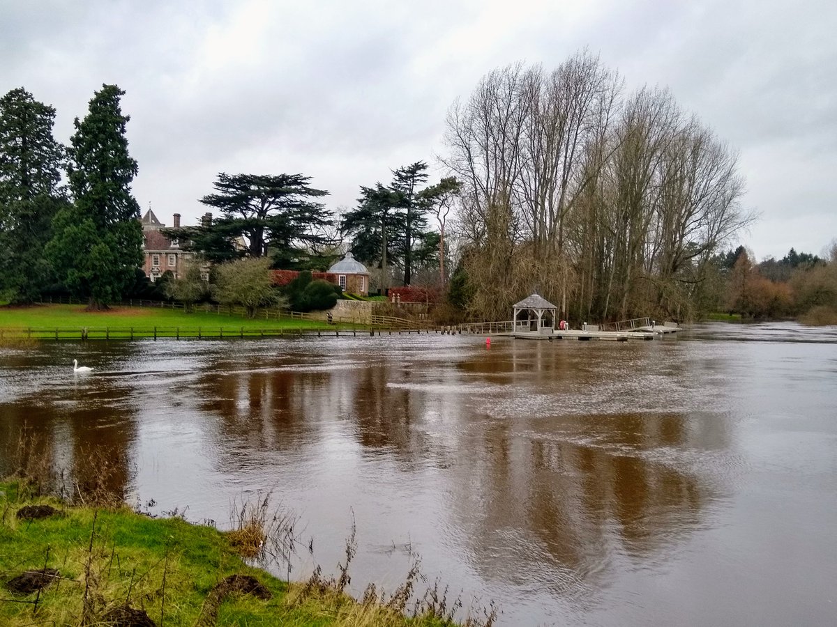 High water at the confluence of the Nidd and the Ouse at Nun Monkton today. #walk #River #NunMonkton #Ouse #Nidd #York #Yorkshire #swan