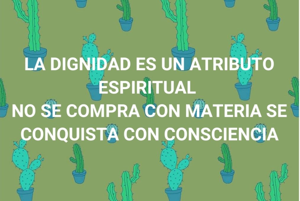 triagrama's tweet photo. https://t.co/LxGex84ya5
