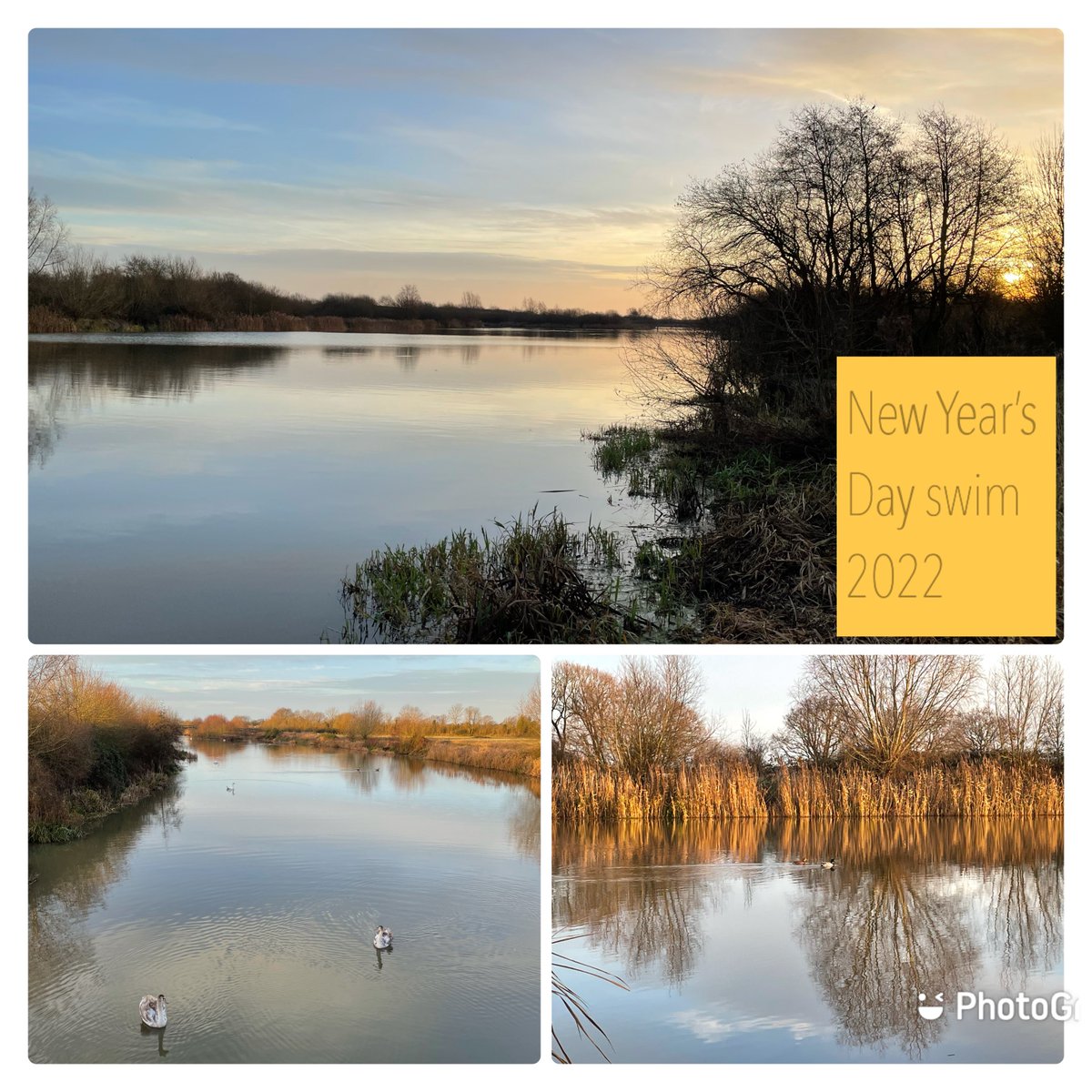 Genevieve Glover tweet media