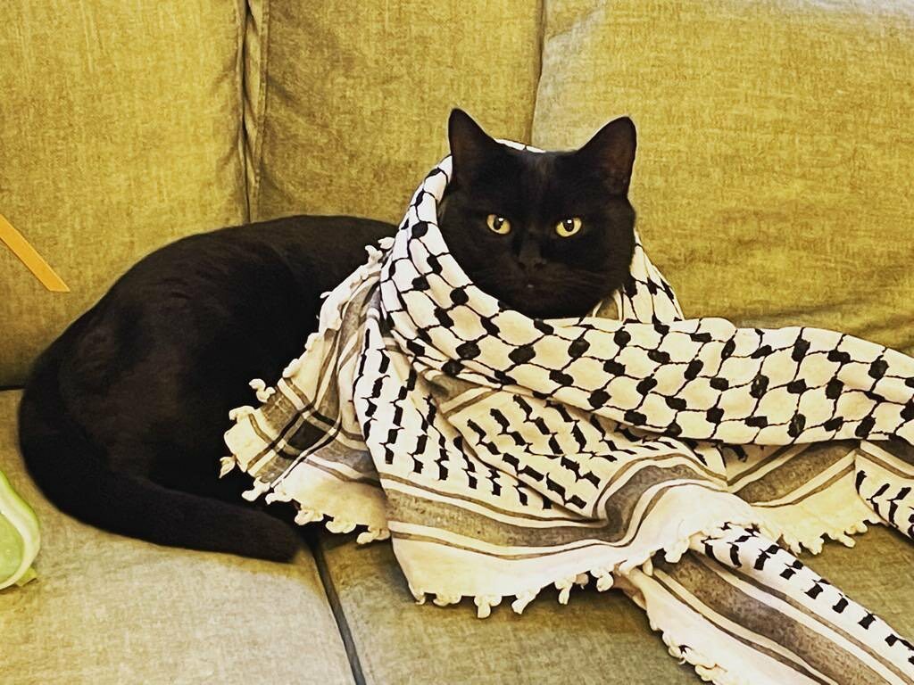 Handmade Palestine tweet media