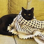 Photo by Handmade Palestine (@HandmadePalest2)