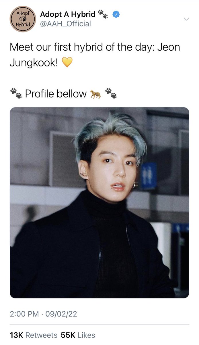 PluiePlume's tweet photo. #taekookau Where Jaguar Hybrid Jungkook, living a perfectly independent life on his own, finds himself in a precarious situation when a sudden adopter shows interest in his profile https://t.co/WJ3pOv54zh