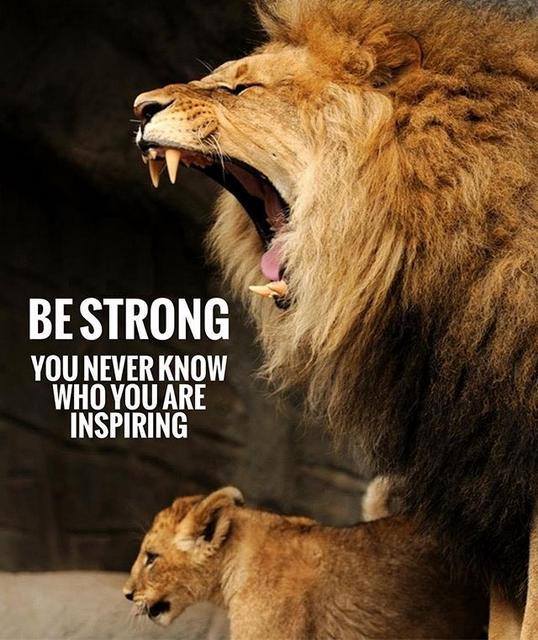 D_White_Coach's tweet photo. Looking forward to 2022 another year #coaching #nurture #inspiring athletes @YeovilOlympiads  @LewestonPent #Triathlon @trienglandsw @SherborneStorm #fun #friendship #TrainHard #focus #Motivation #confidence #BelieveInYourself #process #dedication #potential #NeverGiveUp #Enjoy https://t.co/sfd4UZtvs8