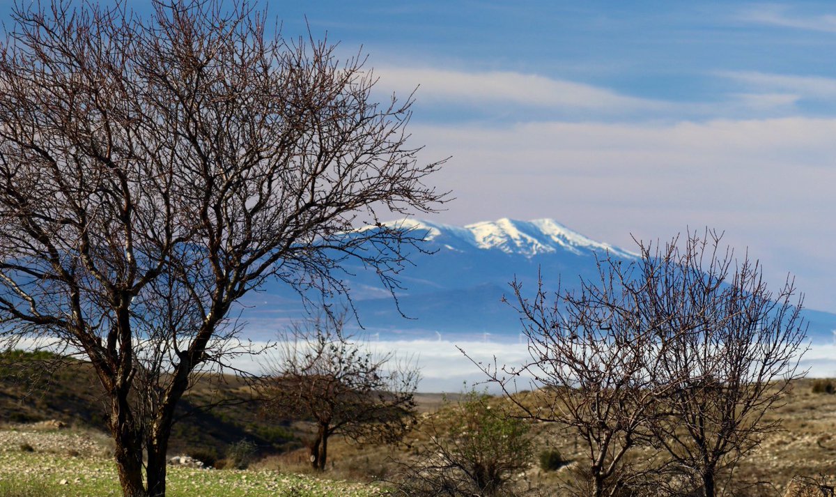Así de pincho luce el Moncayo par estrenar el año desde  #LaMuela
<a href="/atellogimeno/">Adrián Tello Gimeno</a> <a href="/ralamarti/">Raúl Lapeña</a>