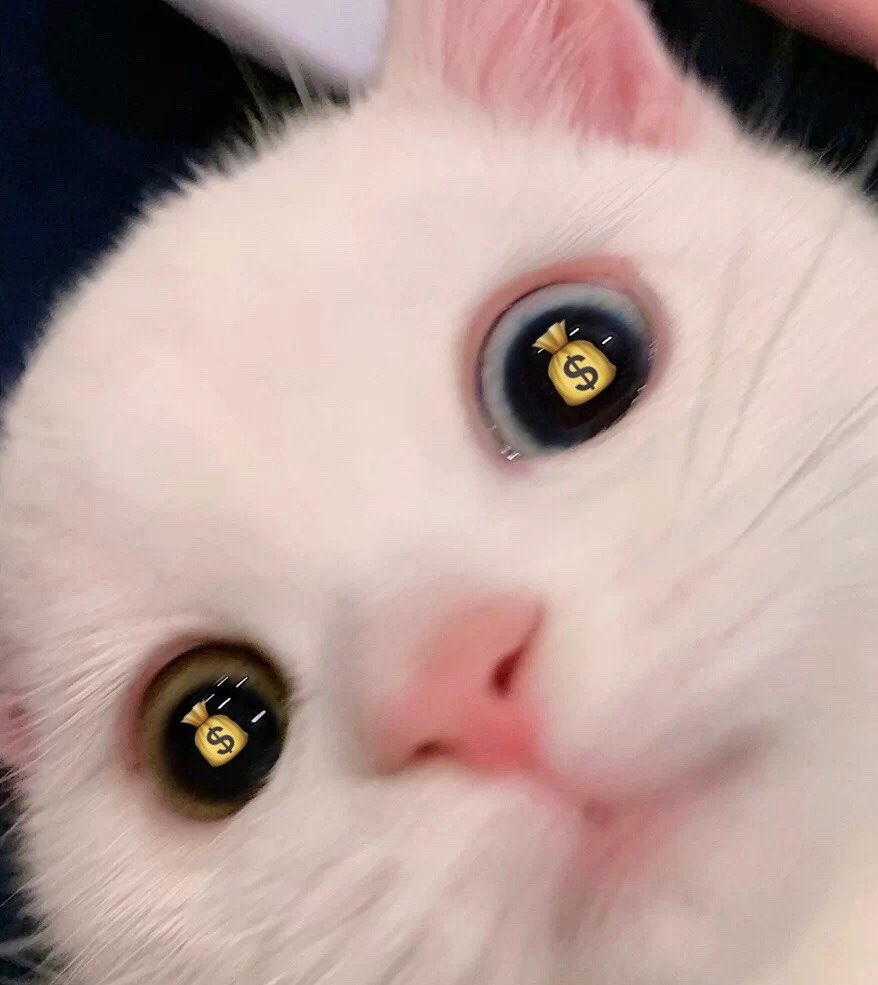 happy new year! 2022 rich rich rich🤑