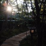 スエツグユウタ| Yuta Suetsuguのツイート画像