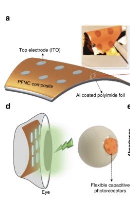 khaled salama tweet media