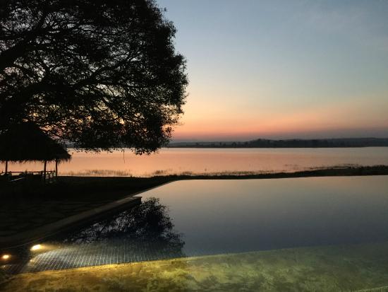 sr_fern's tweet photo. New Year's Eve spent with this beautiful view on Kabini River 😍

As the sun sets on 21, filled with gratitude for everything, including the ups and downs, and I look forward to the adventures, challenges and achievements next year

2022, bring it on 💪

#happynewyear #sunset https://t.co/O7iK52QGXv