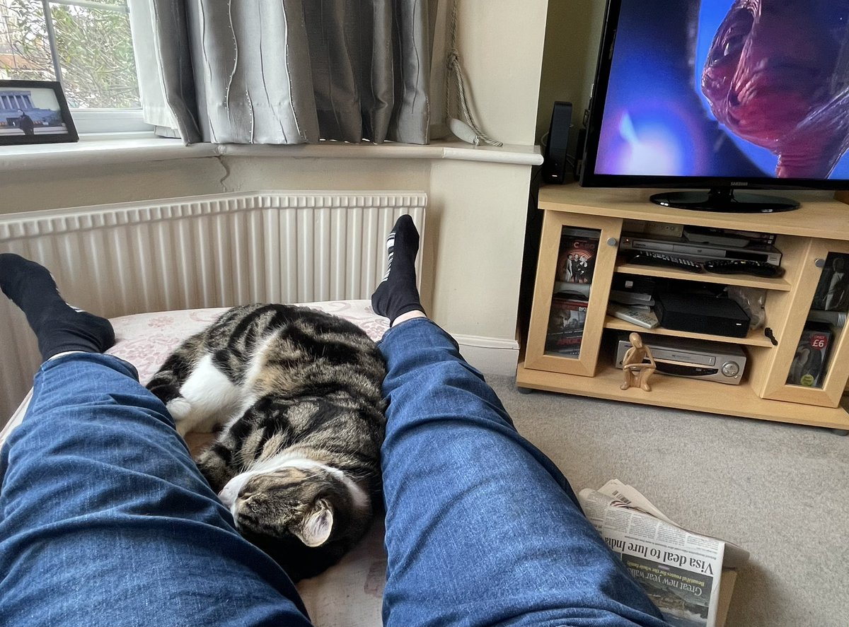 JJ_brum's tweet photo. Perfect New Year’s Day chilling out. #maxcam #2022 https://t.co/WwzX0HWoYS