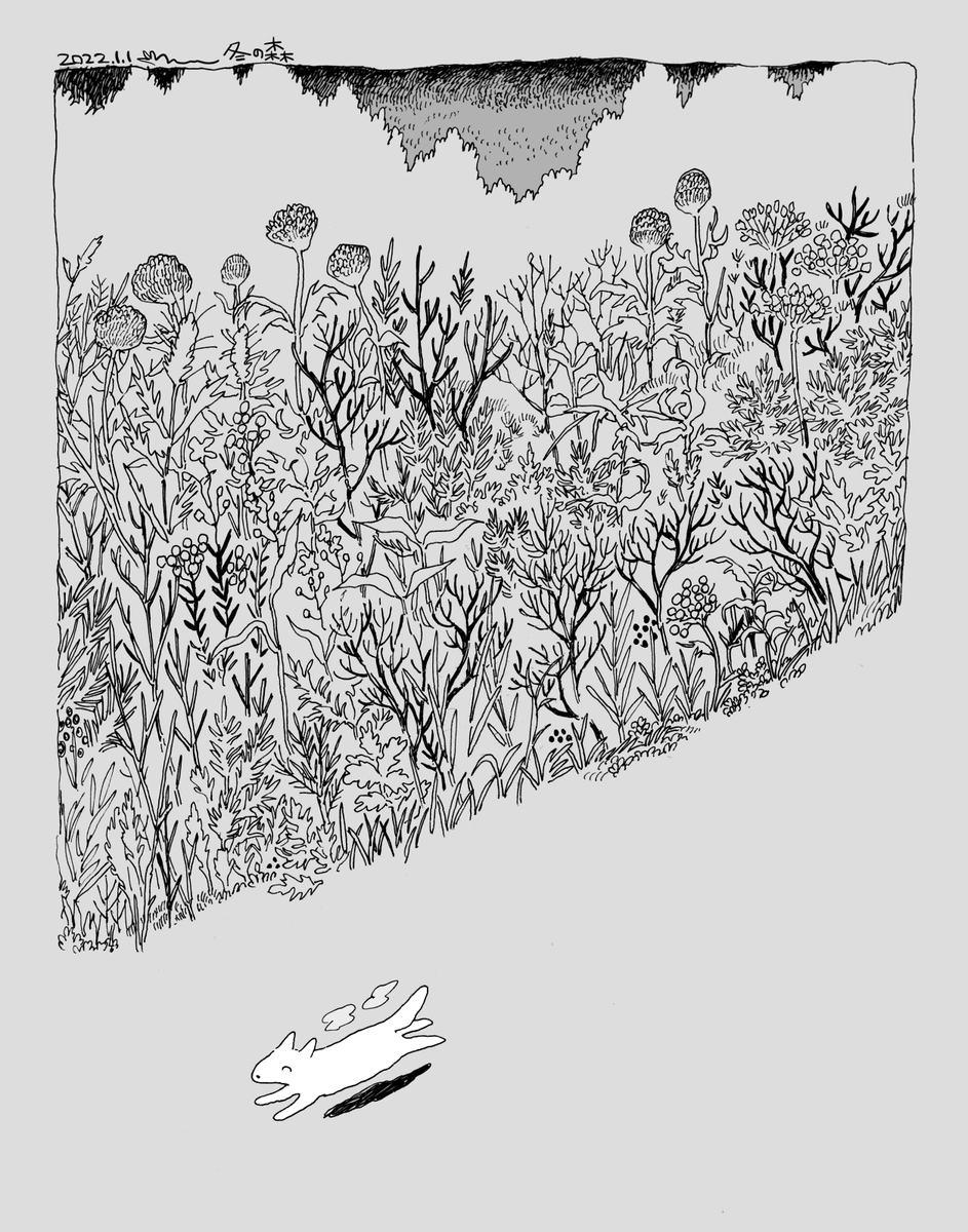 冬の森 