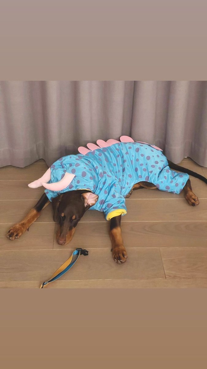 [abcdefghi__lmnopqrstuvwxyz] instagram stories