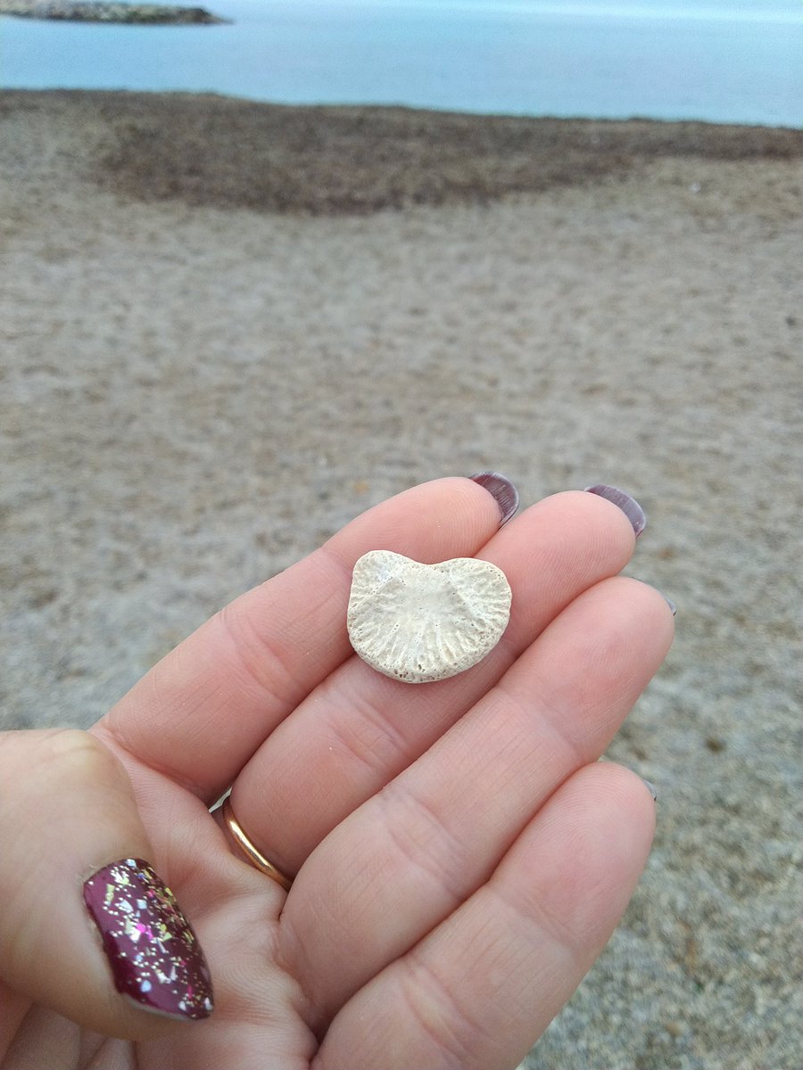 Vi 🐢🌅🍉🍷❤️ tweet media