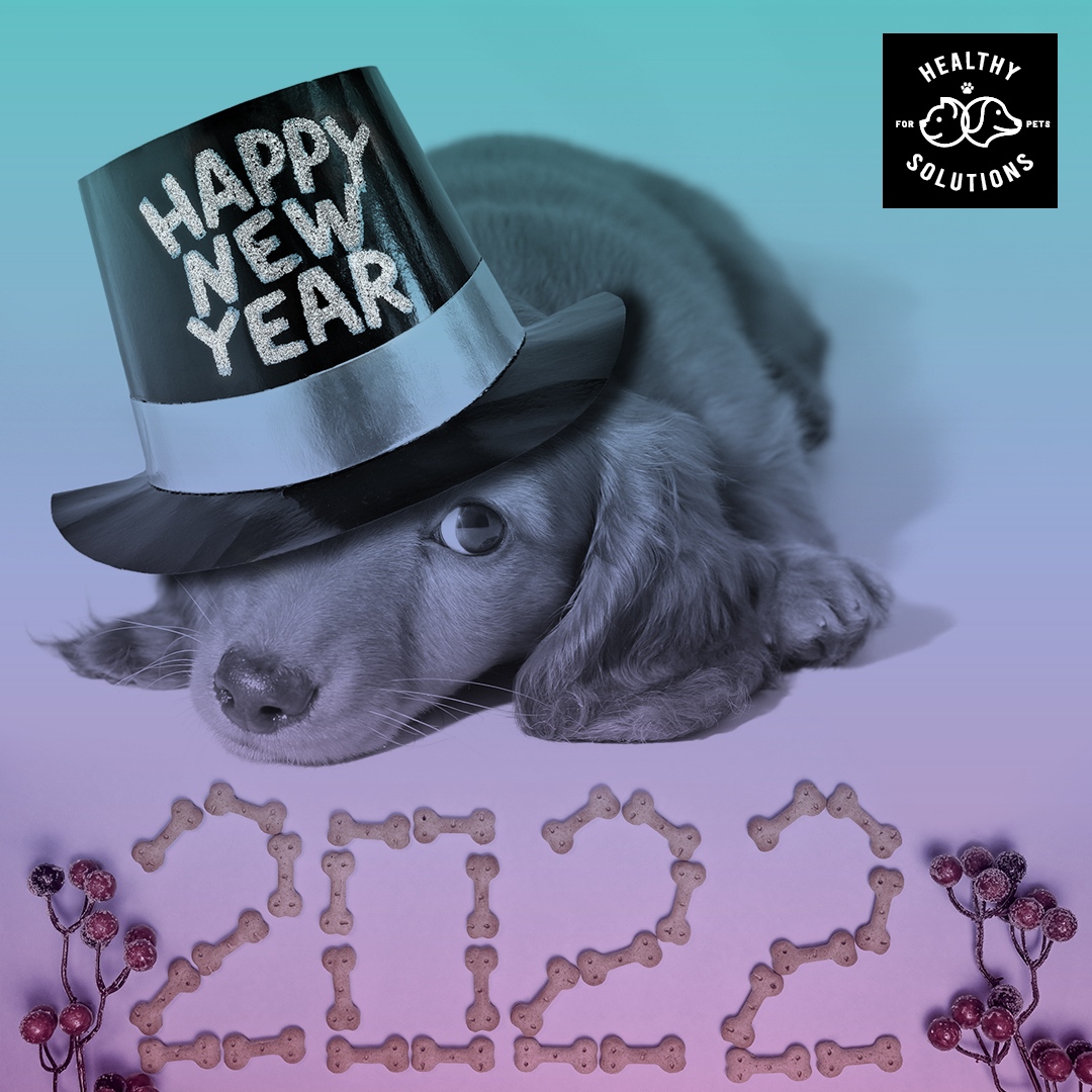 healthy solutions for pets