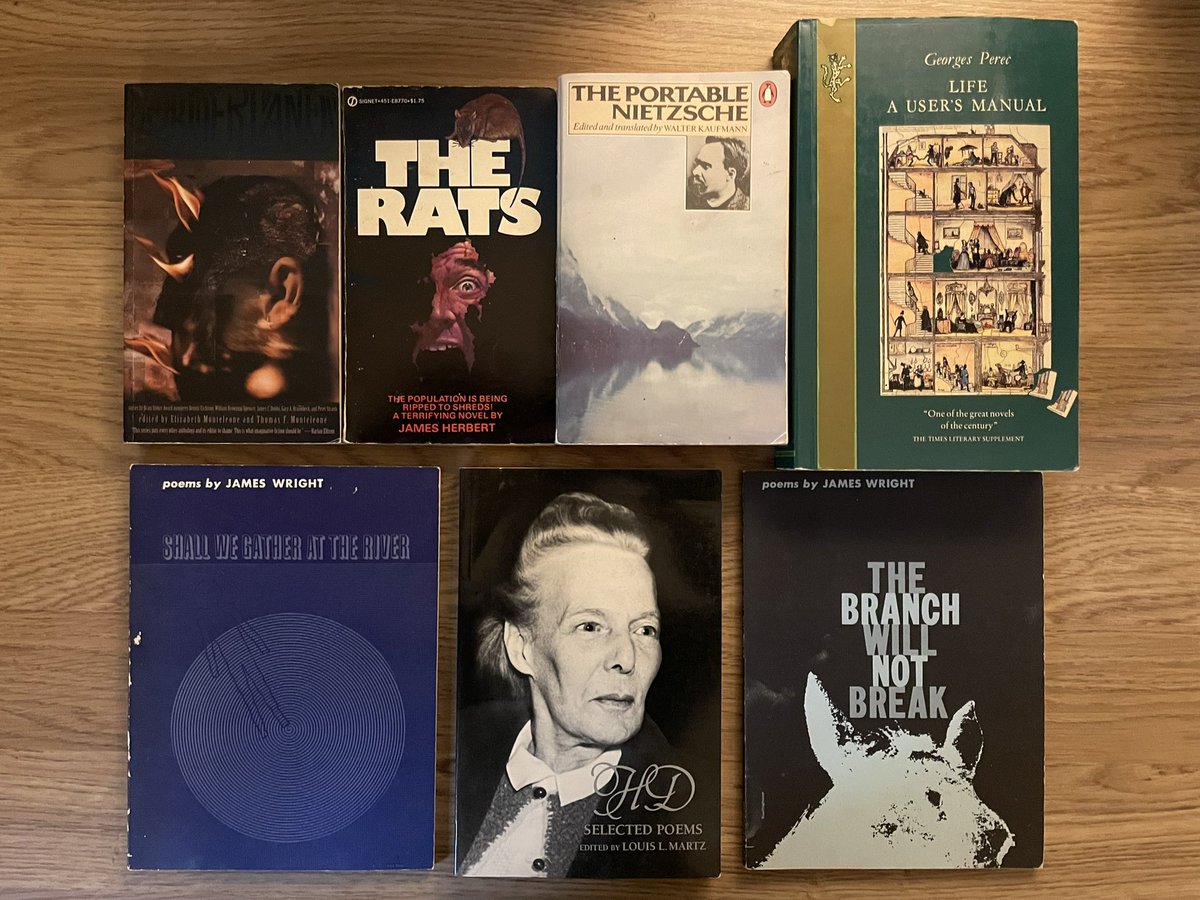 Snuck in a NYE bookstore run for a predictably bonkers haul - classic poetry to #paperbacksfromhell horror

(upper right is Borderlands 4  - stellar early 90s experimental horror anthology with Dave McKean art)