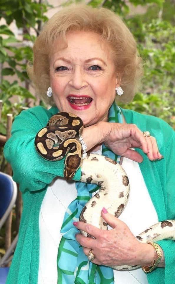 SERPIENTESENPR's tweet photo. Betty White fue una amante de los amimales y en varias entrevista hizo público su amor y admiración por las serpientes. Hoy lamentamos la partida de esta icónica actriz y comediante. Descansa en Paz Betty White. 

#PSPR #BettyWhite  #BettyWhiteRIP  #RIPBettyWhite  #Snake #Betty https://t.co/a0H9kMzgoj