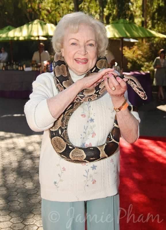 SERPIENTESENPR's tweet photo. Betty White fue una amante de los amimales y en varias entrevista hizo público su amor y admiración por las serpientes. Hoy lamentamos la partida de esta icónica actriz y comediante. Descansa en Paz Betty White. 

#PSPR #BettyWhite  #BettyWhiteRIP  #RIPBettyWhite  #Snake #Betty https://t.co/a0H9kMzgoj