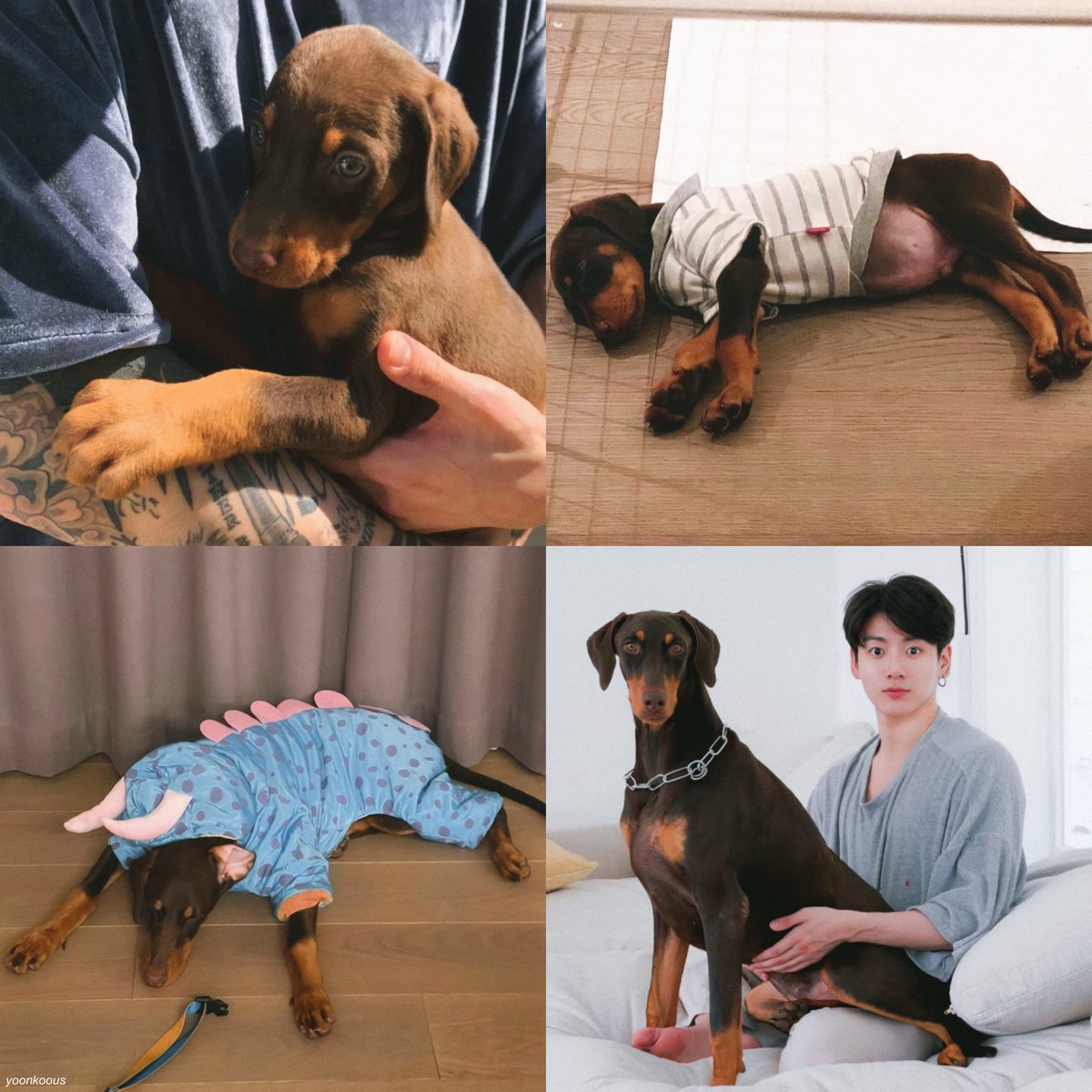 yoonkoous's tweet photo. bam growing up ♡ https://t.co/FV8OstfCCG