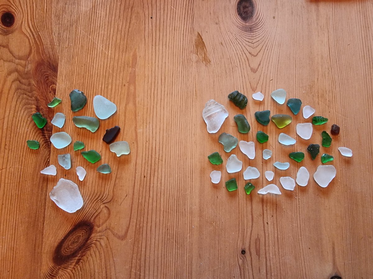 Rossall beach dog walk