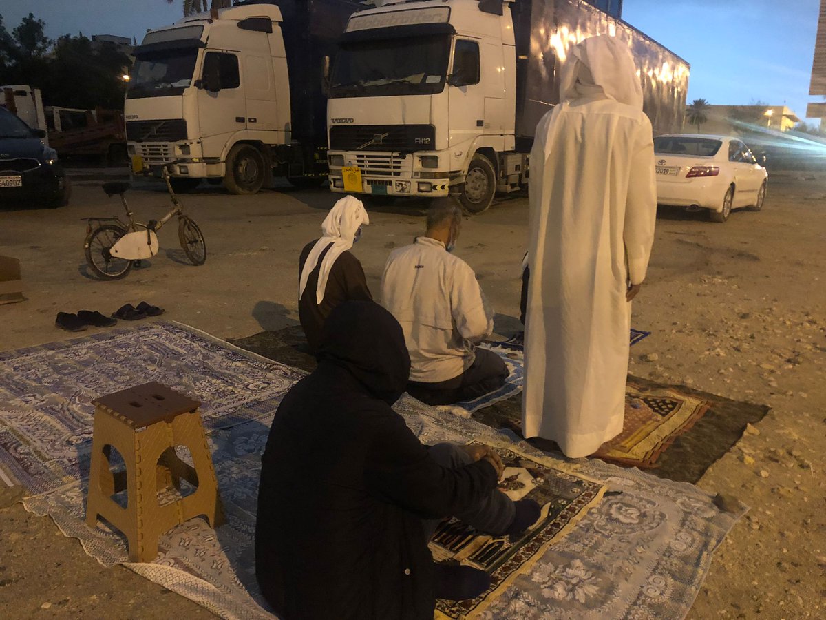 14 فبراير أون لاين tweet media