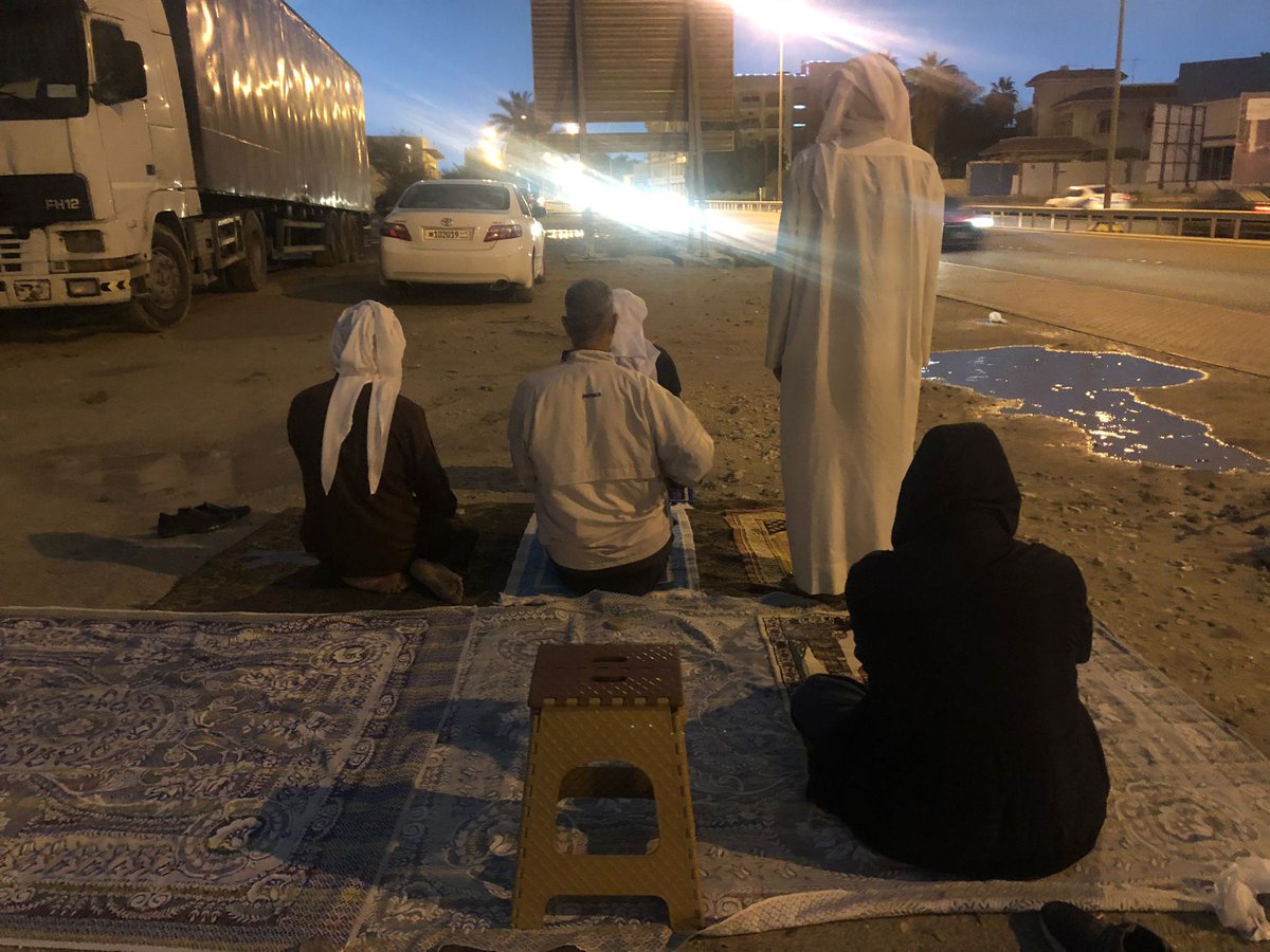 14 فبراير أون لاين tweet media