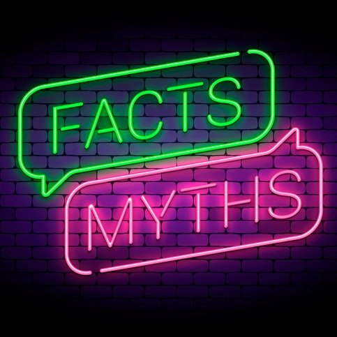 BedbugHeaterAtl's tweet photo. MYTH:Bed bugs live in dirty places.
FACT:Bed bugs are not attracted to dirt and grime; they are attracted to warmth, blood and carbon dioxide

This means that the cleanliness of your home is NOT a determining factor. However,clutter makes treatment difficult. https://t.co/kOcT0x3GEr