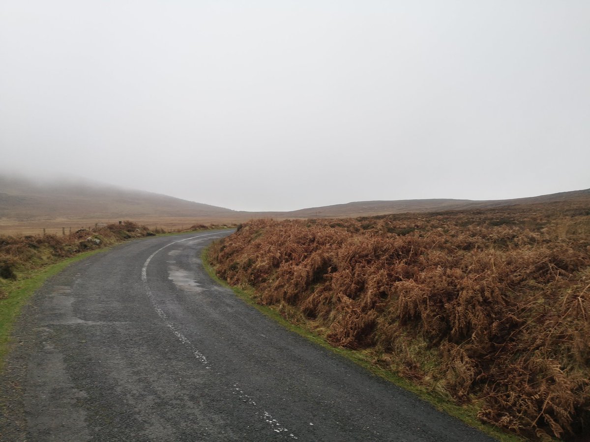 Derry Murphy tweet media