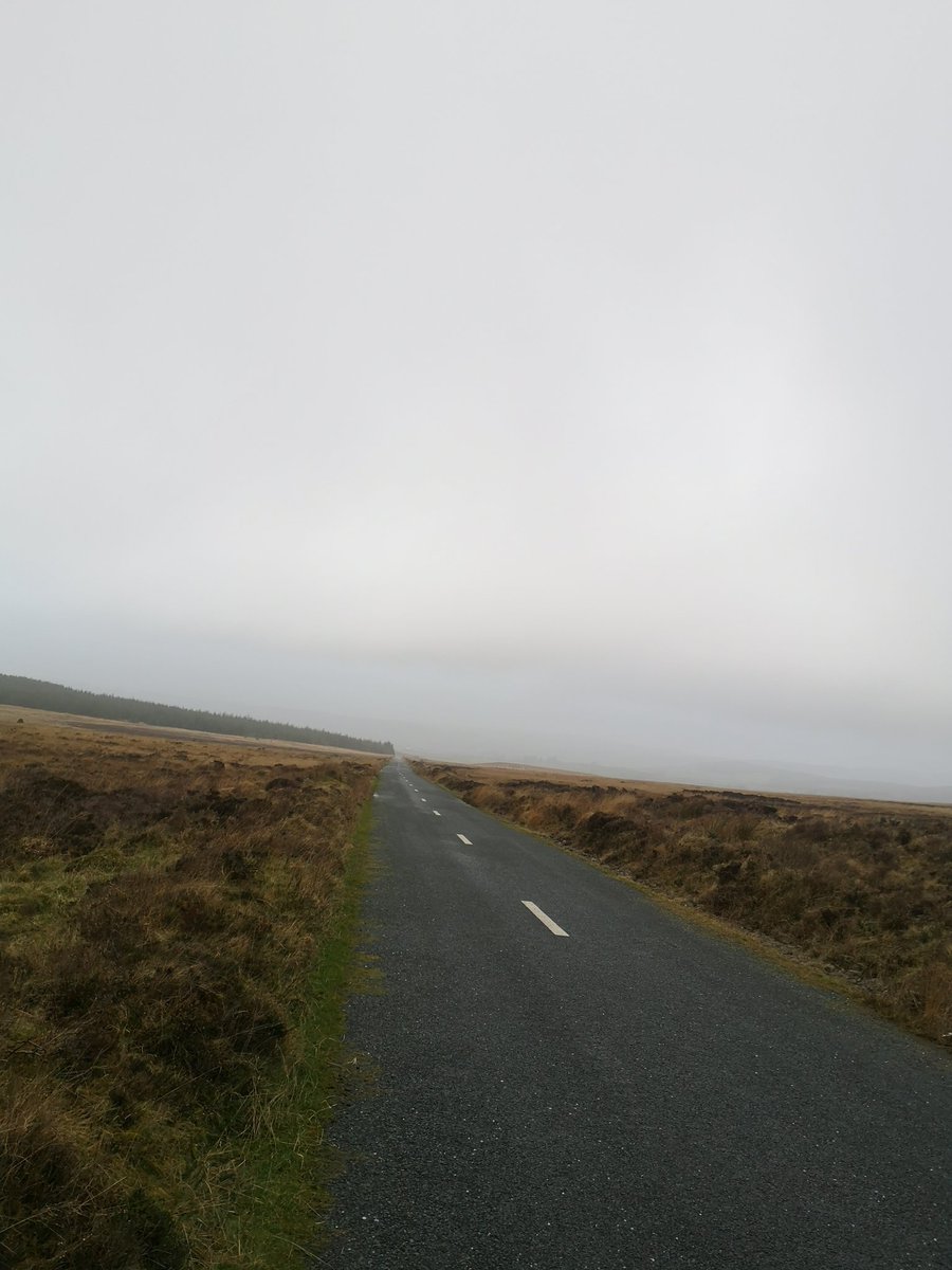 Derry Murphy tweet media