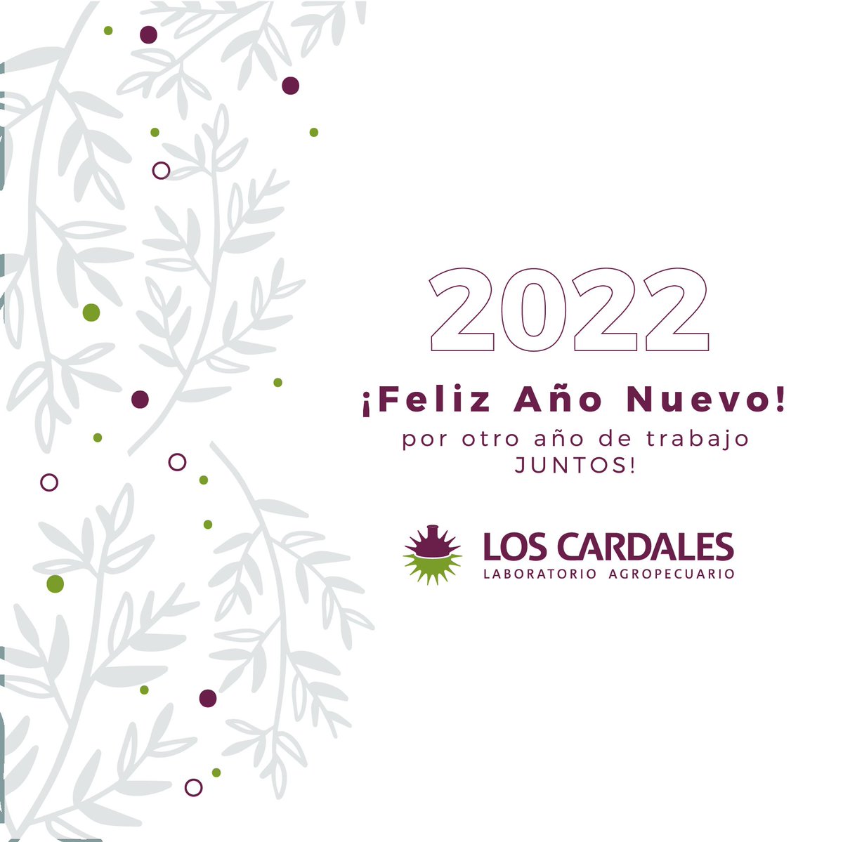 Los Cardales (@loscardalesagro) on Twitter photo 