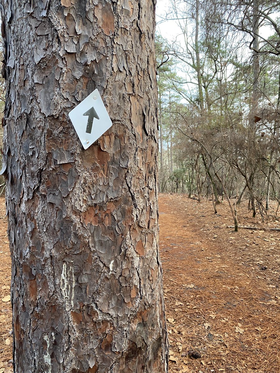 alisonrauch's tweet photo. First Day Hike! ๐ฅพ at Sesquicentennial State Park #FirstDayHikes #StepsinSCStateParks https://t.co/GfwnwvcMbI