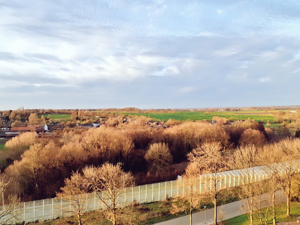 limwierde's tweet photo. Zachte winternamiddagzon, milde gloed over de heuvels. Limburg, wat ben je mooi! #Brunssum #Buitenring #Bingelrade @magnifiekZL https://t.co/SVgcXllGNr
