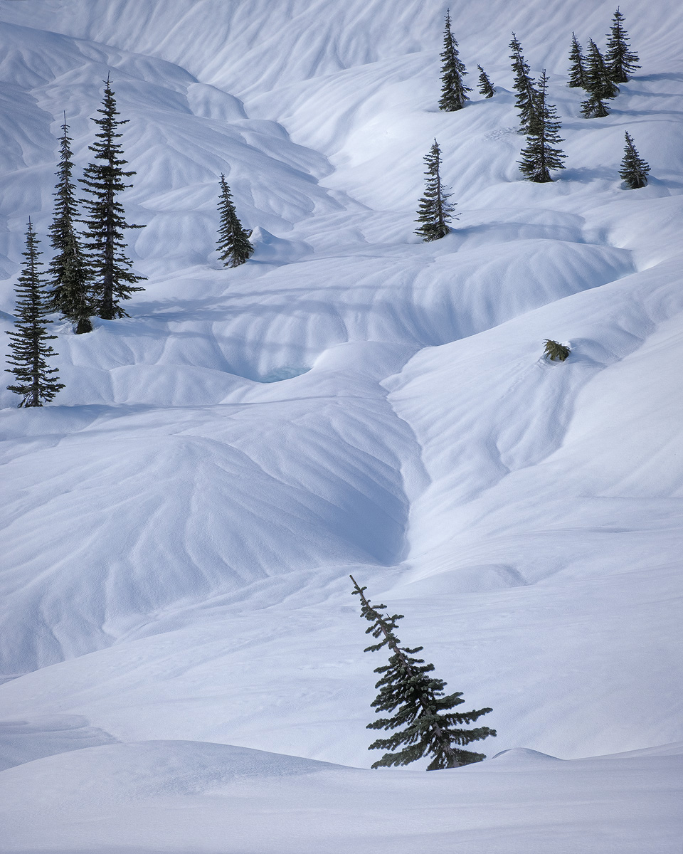 Nature Photographers Network tweet media