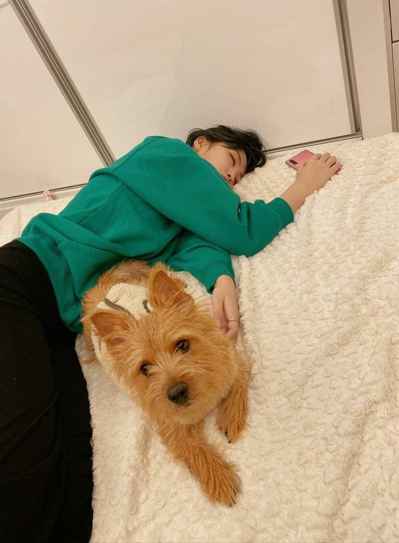 SubjectKpop tweet picture