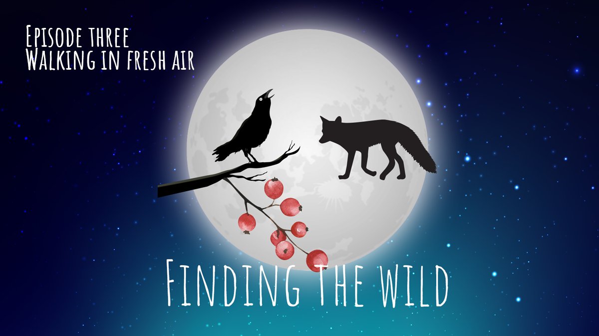 SD_Unwrapped's tweet photo. Episode 3 from Finding the Wild airs at 6pm on the Unwrapped YouTube channel and Facebook Live.  Don't miss this #unwrapped #findingthewild #LocalLive
@MusicGenSD @TCArts24 @civictheatre @contactstudio @AltEnts @SDCClibraries @SDCCArts @sdublincoco @artscouncil_ie @DeptCulturelRL https://t.co/uyVFY69NWC